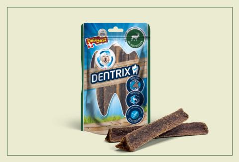 Dentrix