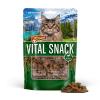 DB_Vital Snack_2025_2500px_MOCKUP_100g_plus OFFEN