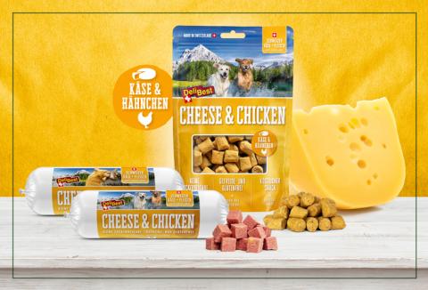 Cheese Chicken
