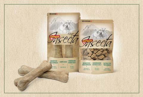 Brand Insecta