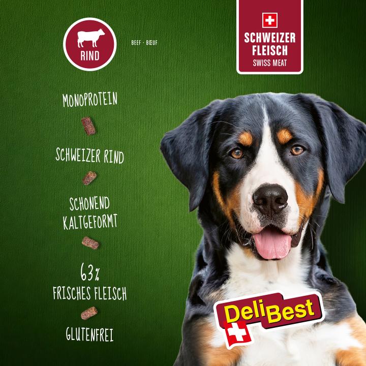 DB_Adult Sensitive Complete_Dog_4kg_2500px_BEEF_INFO 1